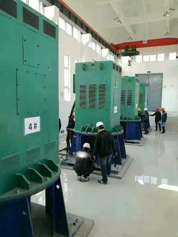 申扎某污水处理厂使用我厂的立式高压电机安装现场