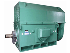 申扎YKK系列高压电机